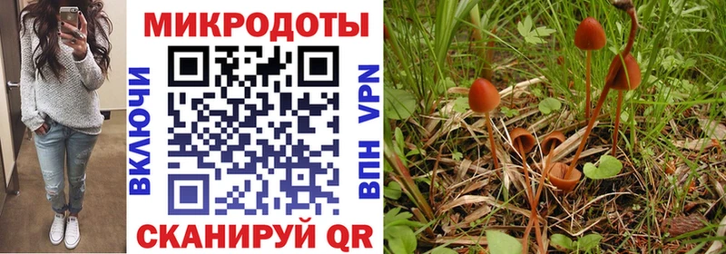 Псилоцибиновые грибы ЛСД  блэк спрут ссылка  Сунжа 
